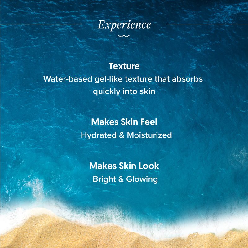 All In One Essentials Kit - Image 4